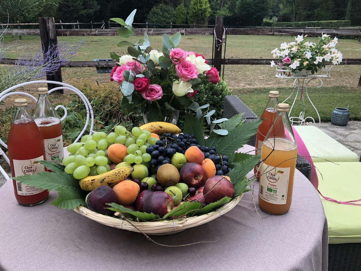 Domaine Du Vertbois La Haye-du-Theil 외부 사진